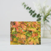 秋の野生のブドウ葉の ポストカード (スタンド正面)