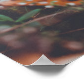 秋の野草 ポスター (角)