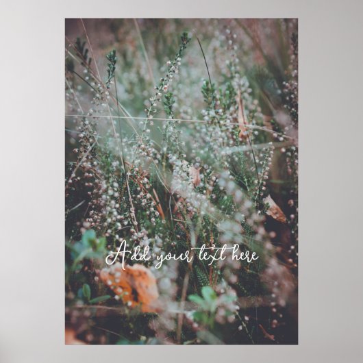 秋の野草 ポスター (正面)