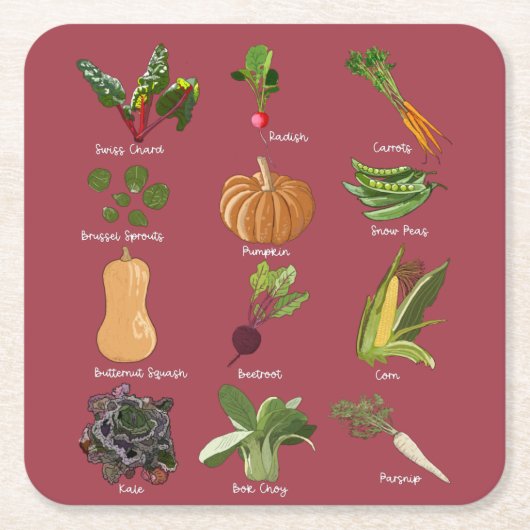 秋の野菜の種類秋野菜の収穫 スクエアペーパーコースター (正面)