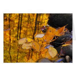 秋の金ゴールドの反射