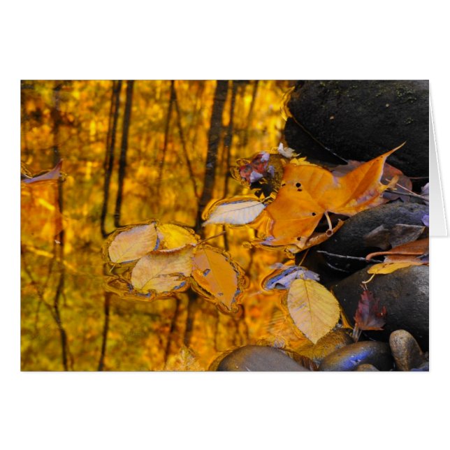 秋の金ゴールドの反射 (正面横)