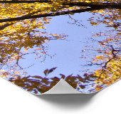 秋の金ゴールドゴールデン葉ズツリーポスター ポスター (角)