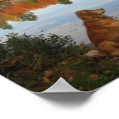 秋の金ゴールド自然とゴールデンレトリバードッグ ポスター (角)