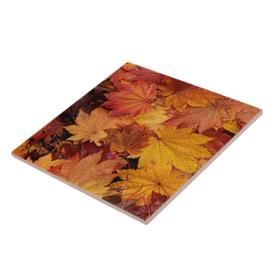 秋の金ゴールド タイル (側面)