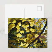 秋の銀杏の葉：日本 ポストカード (正面/裏面)