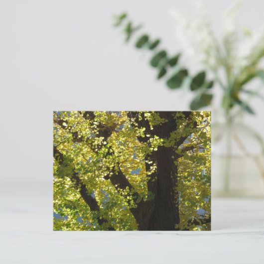 秋の銀杏 ポストカード (スタンド正面)