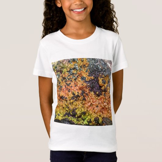 秋の錆びたサンセットストーン Tシャツ (正面)