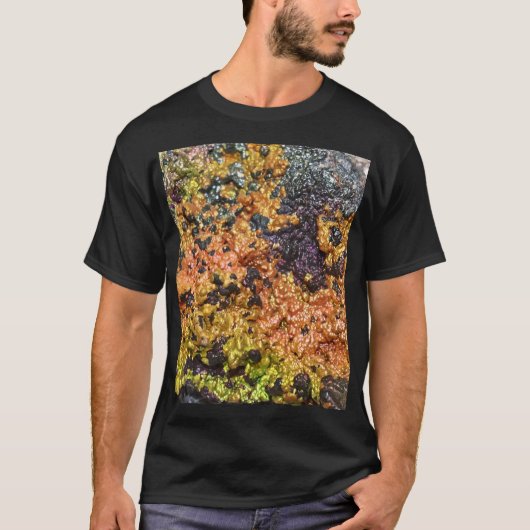 秋の錆びたサンセットストーン Tシャツ (正面)