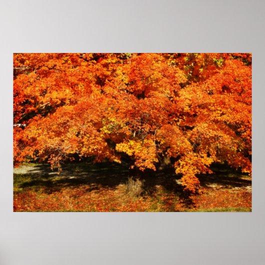 秋の錆 ポスター (正面)