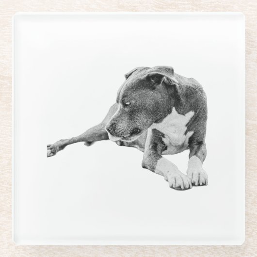 秋の間 ガラスコースター (正面)