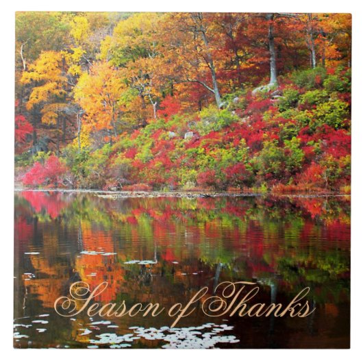 秋の陶磁瓦の反射 タイル (正面)