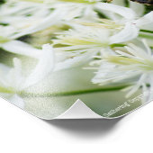 秋の集会 フォトプリント            (角)