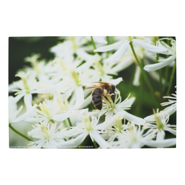 秋の集会 メタルプリント (正面)