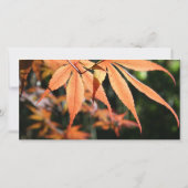 秋の離れ悔やみや弔慰Thank You photo card サンキューカード (裏面)