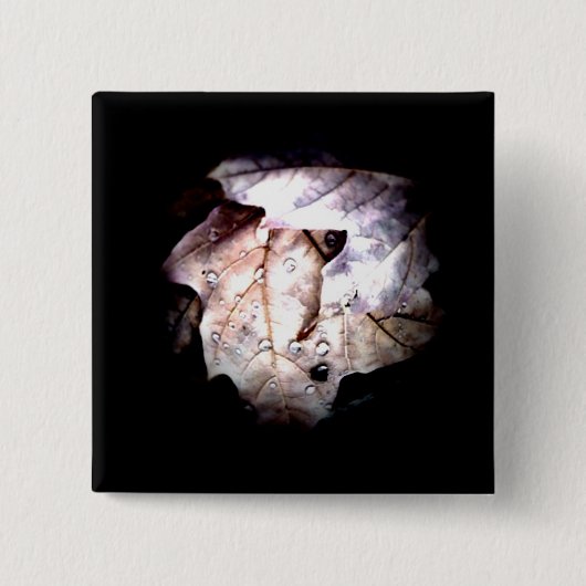 秋の雨滴1つのボタン 缶バッジ (正面)