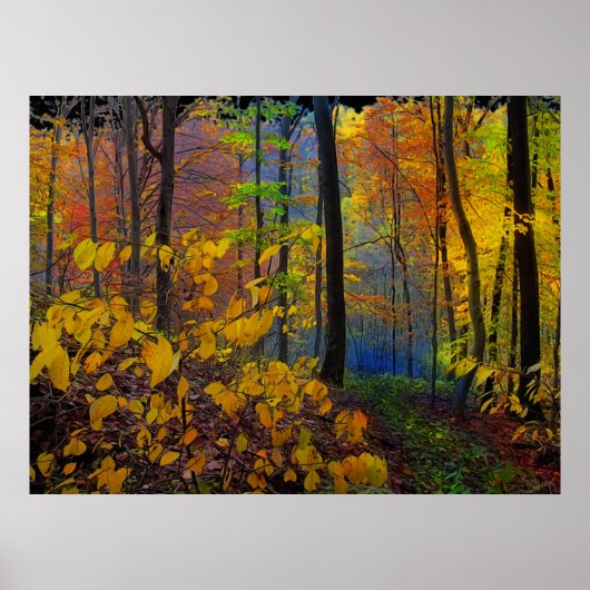 秋の雨、ポスター ポスター (正面)