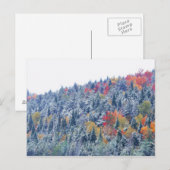 秋の雪 ポストカード (正面/裏面)