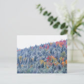 秋の雪 ポストカード (スタンド正面)