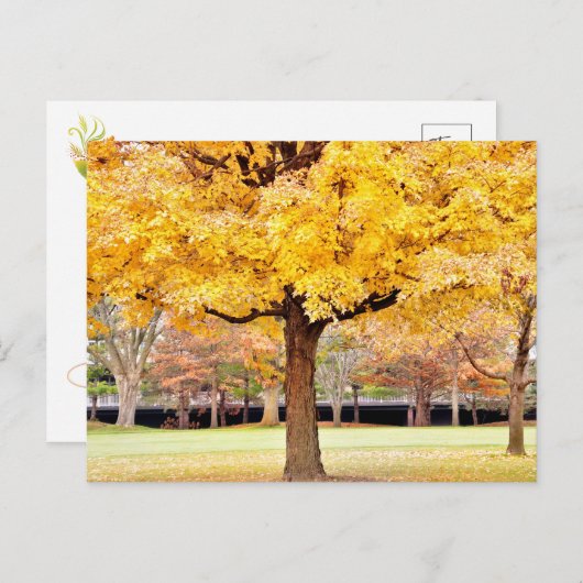 秋の雰囲気はがき ポストカード (正面/裏面)