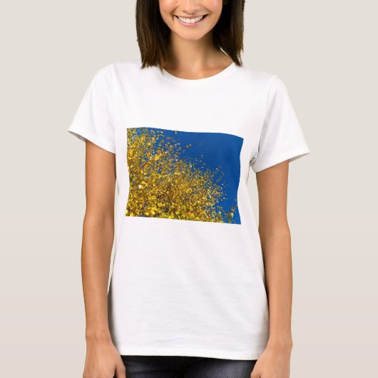 秋の青空 Tシャツ (正面)