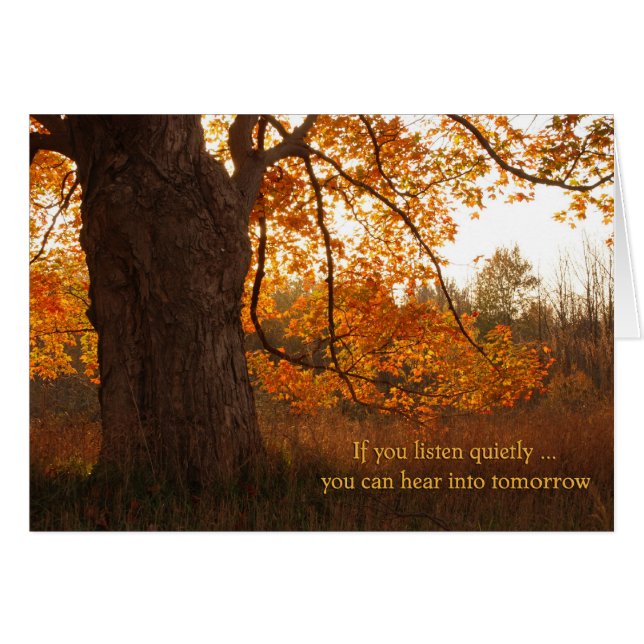 秋の静寂 (正面横)