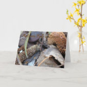 秋の願い-カード カード (黄色い花)