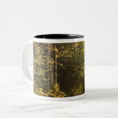 秋の風景，バーモント， USA 4 ツートーンマグカップ (正面左)