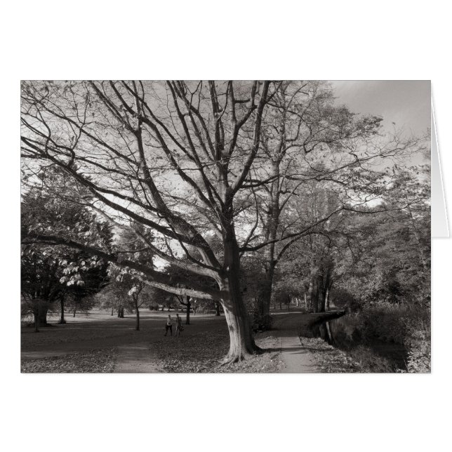 秋の風景、ビュートパークカーディフ (正面横)