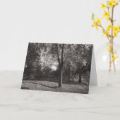 秋の風景、ビュートパークカーディフ カード (黄色い花)