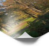 秋の風景、ビュートパークカーディフ フォトプリント (角)