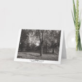 秋の風景、ビュートパーク、カーディフ(縁ど) カード (裏面)