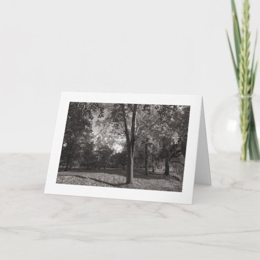 秋の風景、ビュートパーク、カーディフ(縁ど) カード (正面)