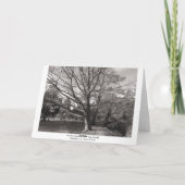 秋の風景、ビュートパーク、カーディフ(縁ど) カード (裏面)