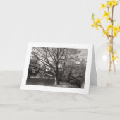 秋の風景、ビュートパーク、カーディフ(縁ど) カード (黄色い花)