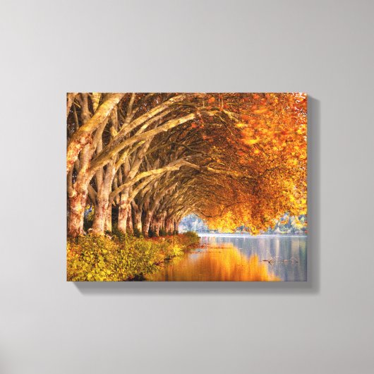 秋の飛行機の木々が湖を越えて キャンバスプリント (正面)