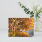 秋の飛行機の木々が湖を越えて ポストカード (スタンド正面)