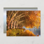 秋の飛行機の木々が湖を越えて ポストカード (正面/裏面)