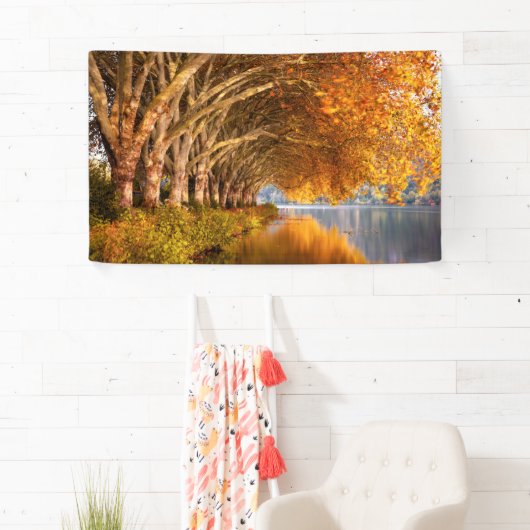 秋の飛行機の木々が湖を越えて 横断幕 (インサイチュ)