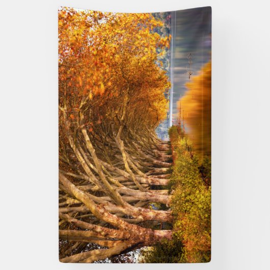 秋の飛行機の木々が湖を越えて 横断幕 (縦)