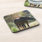 秋の馬 コースター (左側)