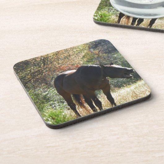 秋の馬 コースター (左側)