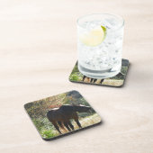 秋の馬 コースター (右側)