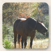 秋の馬 コースター (正面)