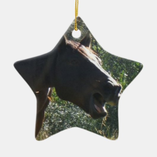 秋の馬 セラミックオーナメント (正面)