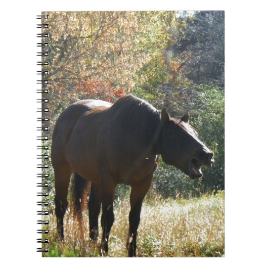 秋の馬 ノートブック (正面)