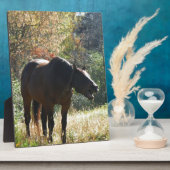 秋の馬 フォトプラーク (側面)