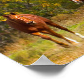 秋の馬 ポスター (角)
