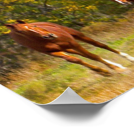 秋の馬 ポスター (角)