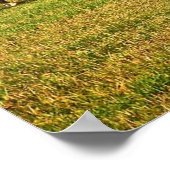 秋の馬 ポスター (角)